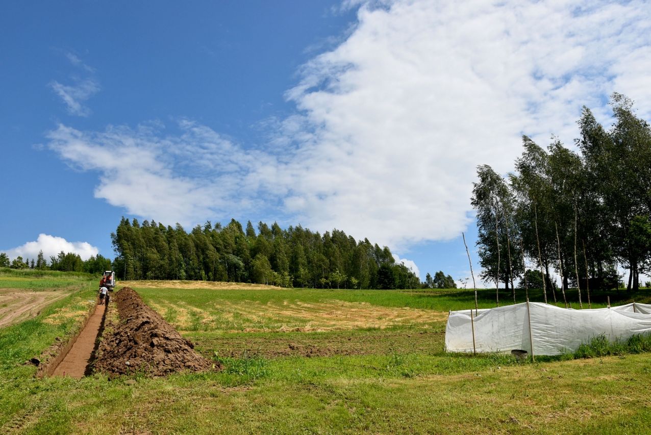 Badania archeologiczne poprzedzające budowę domu jednorodzinnego w Skołyszynie (gmina Skołyszyn, województwo podkarpackie)