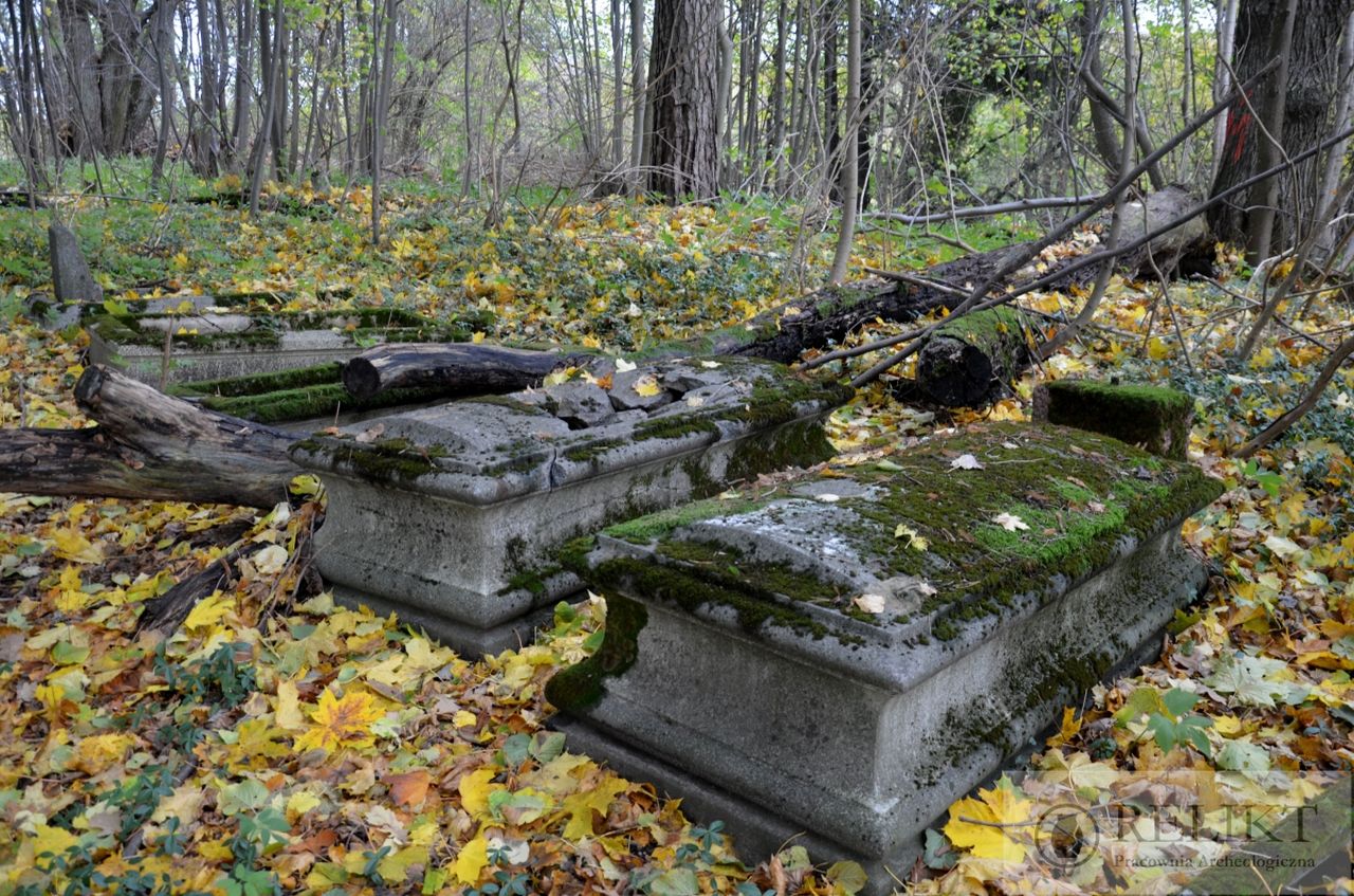 Weryfikacja dawnych cmentarzy ewangelickich na terenie gminy Ełk. - zdjęcie 11